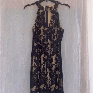 Windsor Navy and tan lace dress